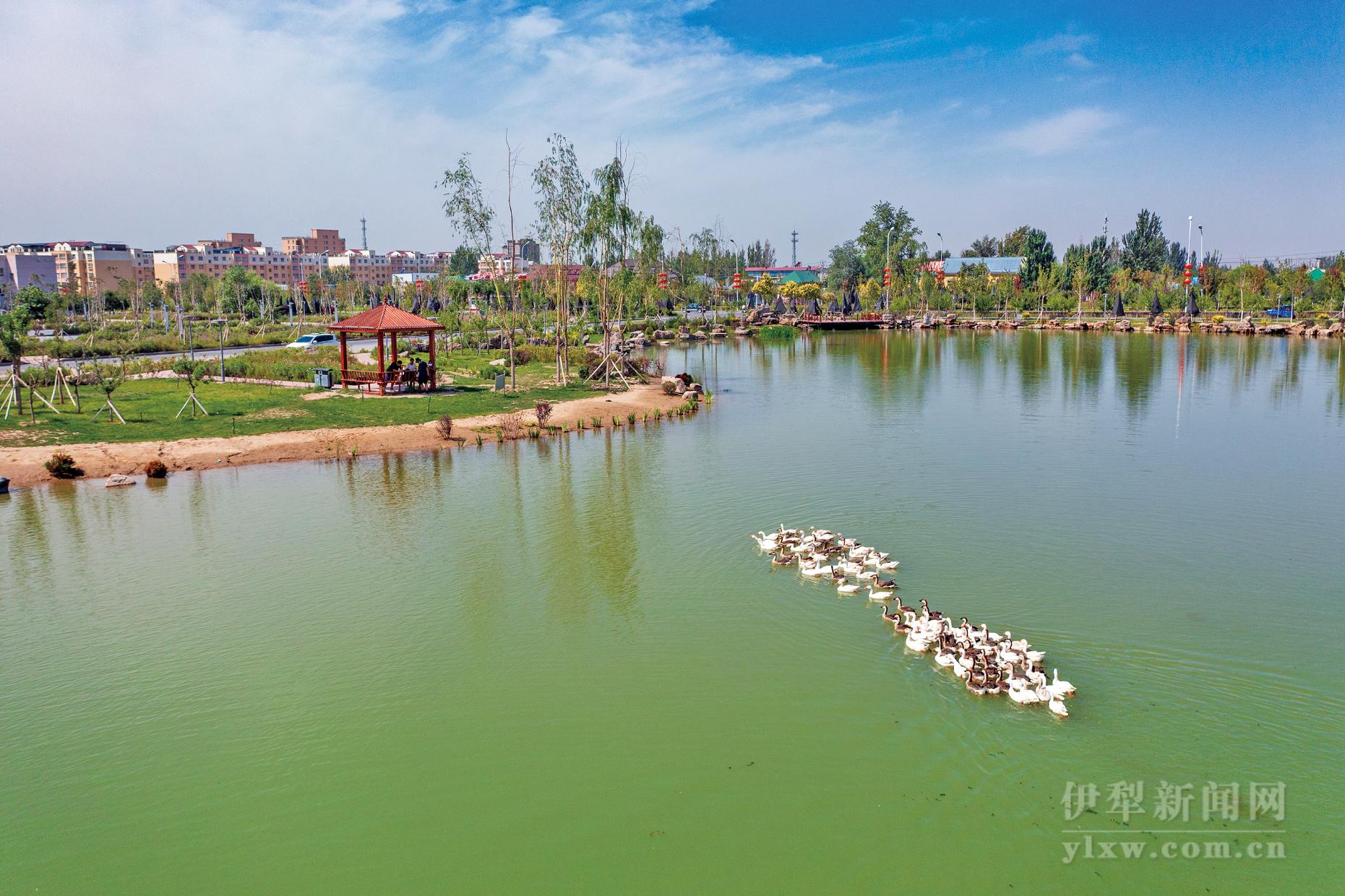 2023伊宁城市海景公园游玩攻略,其实就是伊犁河河畔公园【去哪儿攻略】