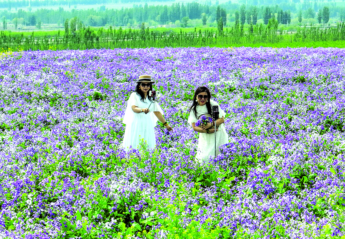 游客在伊宁县天山花海景区二月兰拍照打卡.jpg